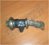 Plants: image 1 0f 20 thumb