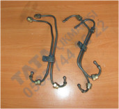 Plants: image 1 0f 20 thumb