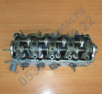 Plants: image 1 0f 20 thumb