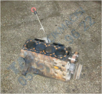 Plants: image 1 0f 20 thumb