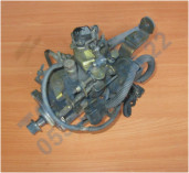 Plants: image 1 0f 20 thumb