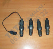 Plants: image 1 0f 20 thumb