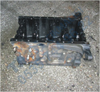 Plants: image 1 0f 20 thumb