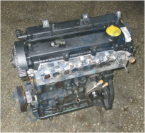 Plants: image 1 0f 20 thumb