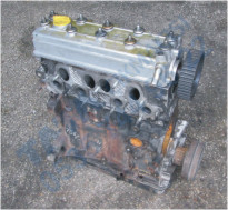 Plants: image 1 0f 20 thumb