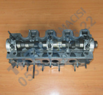 Plants: image 1 0f 20 thumb