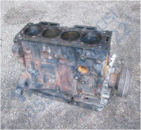 Plants: image 1 0f 20 thumb