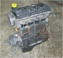 Plants: image 1 0f 20 thumb