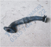 Plants: image 1 0f 20 thumb