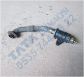 Plants: image 1 0f 20 thumb