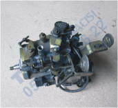 Plants: image 1 0f 20 thumb